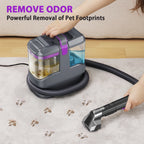 Portable Carpet & Upholstery Cleaner