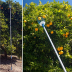 Telescoping Fruit Picker with 20+ Foot Reach