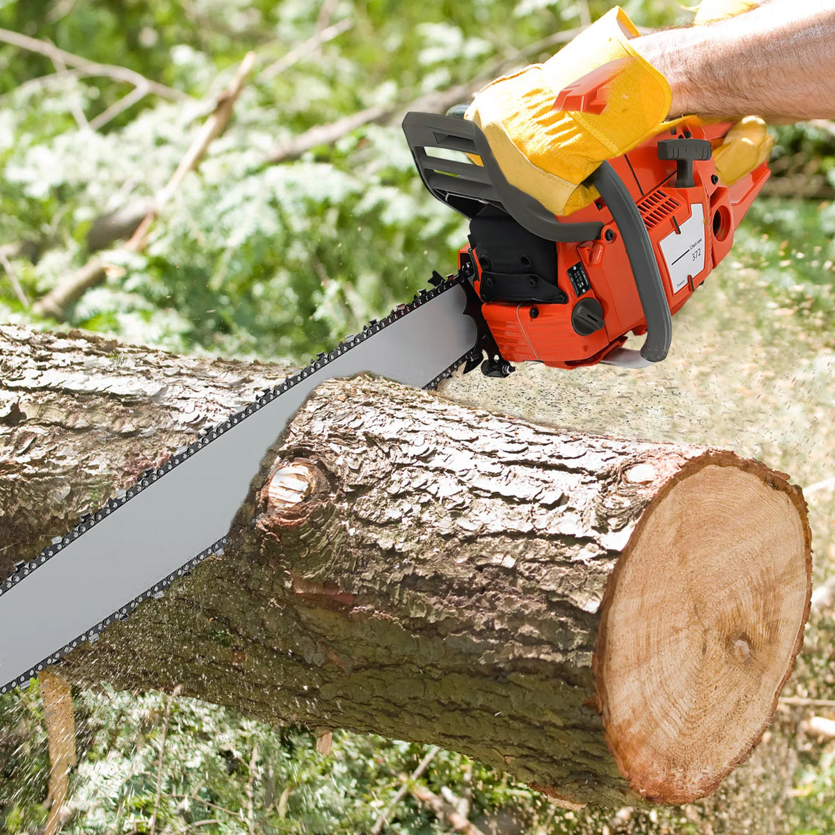 Gas Chainsaw