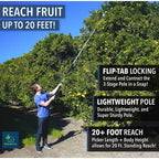 Telescoping Fruit Picker with 20+ Foot Reach