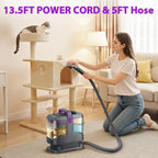 Portable Carpet & Upholstery Cleaner