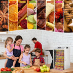 18 Tray Stainless Steel Food Dehydrator