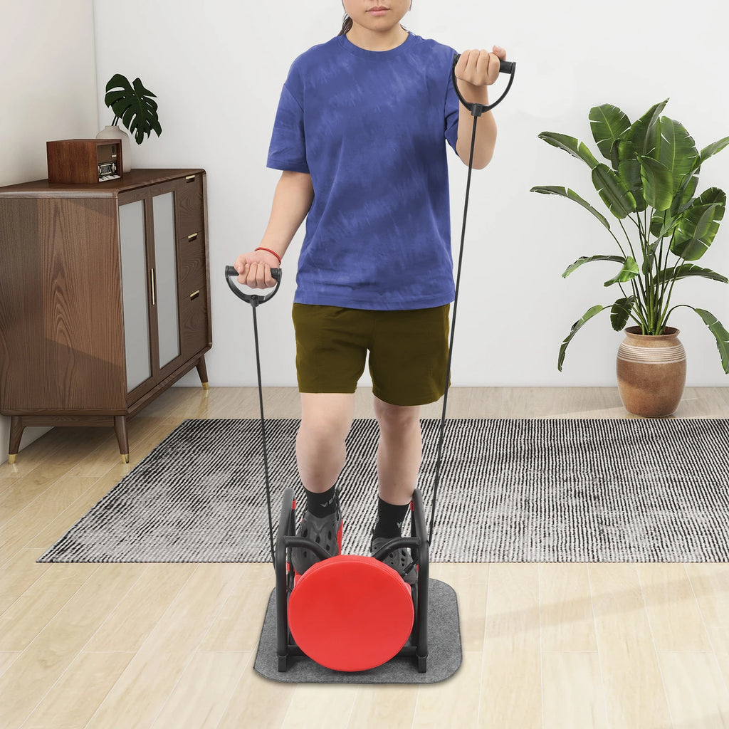 Mini Sport Stepper