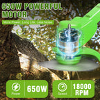 2-in-1 Cordless Weed Trimmer